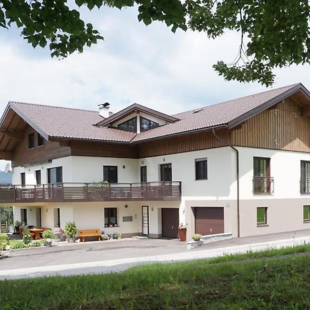 Ferienwohnung Hausleitner Zell am Moos Exterior foto