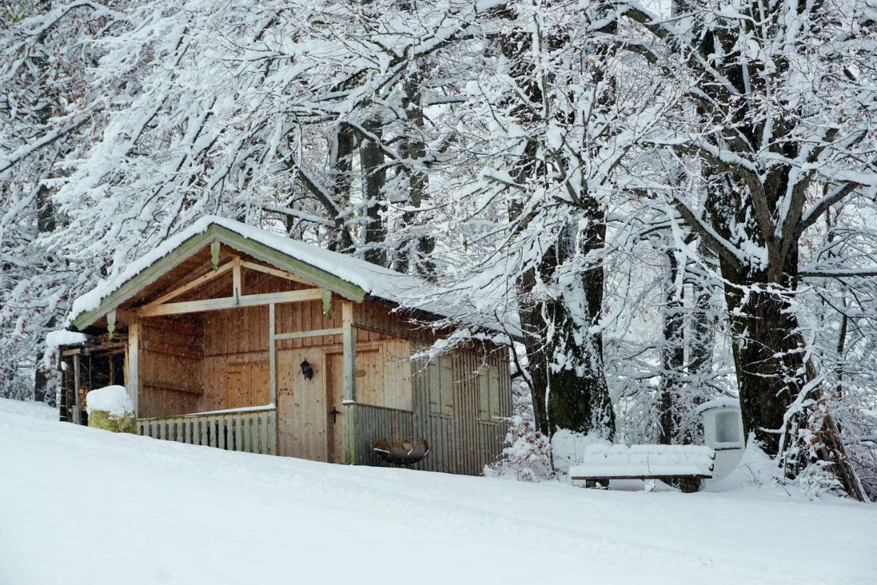 Ferienwohnung Hausleitner Zell am Moos Exterior foto